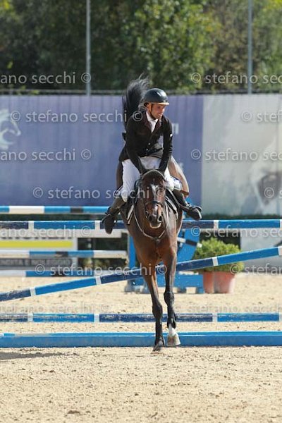 SPADONI_QUITE_GIO CAV 2011_(0171) SS3_2081.jpg